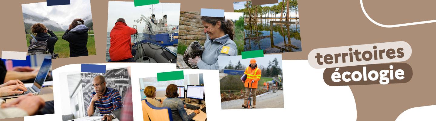 bandeau couleur racine